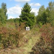 Field Esch Dag 1 138