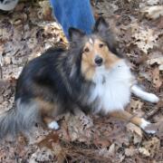 Field Ossendrecht 08