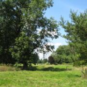 Hardy_2010_Dag_1_134