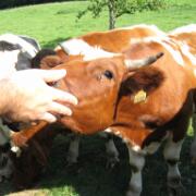 28-8-2009 17-39-04_0013