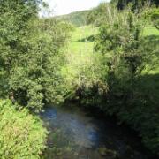 28-8-2009 17-39-09_0015