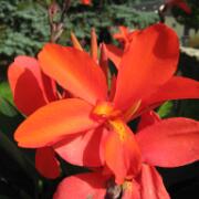 28-8-2009 17-39-17_0018