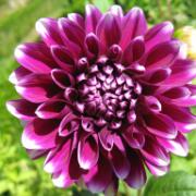 28-8-2009 17-40-24_0050