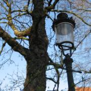 2009-03-20 - Brugge 048