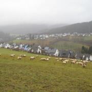 Sauerland 26-12_30