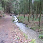 Sauerland 26-12_33