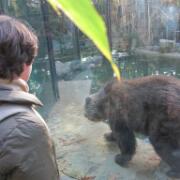 Dierenpark A'foort 01