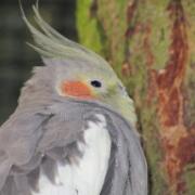 Dierenpark A'foort 02