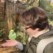 Dierenpark A'foort 03