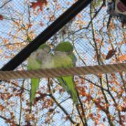 Dierenpark A'foort 04