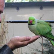 Dierenpark A'foort 05