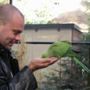 Dierenpark A'foort 06