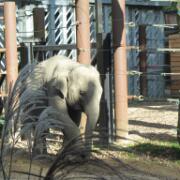 Dierenpark A'foort 12
