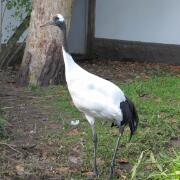 Dierenpark A'foort 15