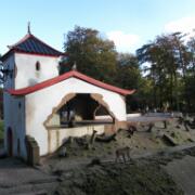 Dierenpark A'foort 17