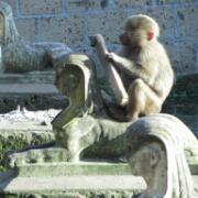 Dierenpark A'foort 20