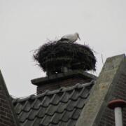 Joppe_Deventer_Zutphen_08