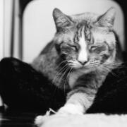 Hendrina en Bart trouwen - 004