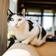 Hendrina en Bart trouwen - 005