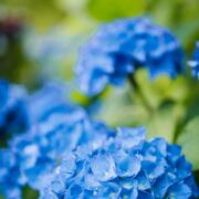 Hendrina-Bart_PWS_11