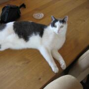 Sjerrie en Chandler (009)