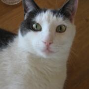 Sjerrie en Chandler (010)