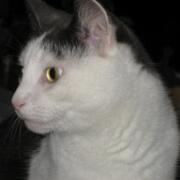 Sjerrie en Chandler (012)