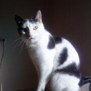 Sjerrie en Chandler (014)