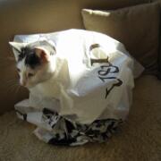 Sjerrie en Chandler (015)