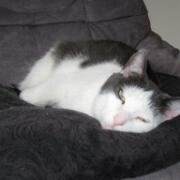 Sjerrie en Chandler (024)