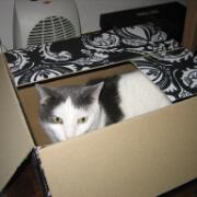 Sjerrie en Chandler (025)