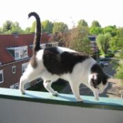 Sjerrie en Chandler (030)