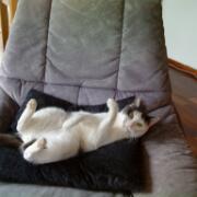 Sjerrie en Chandler (031)