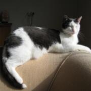 Sjerrie en Chandler (032)