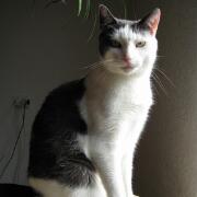 Sjerrie en Chandler (034)