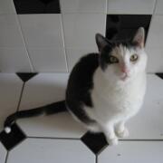 Sjerrie en Chandler (038)