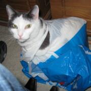 Sjerrie en Chandler (040)