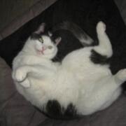 Sjerrie en Chandler (042)