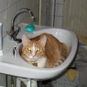 Sjerrie en Chandler (001)