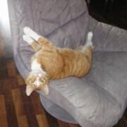 Sjerrie en Chandler (005)