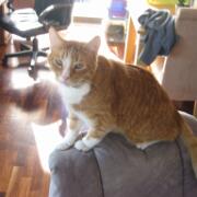 Sjerrie en Chandler (006)