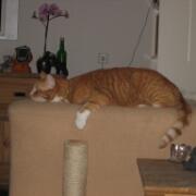 Sjerrie en Chandler (007)