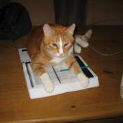 Sjerrie en Chandler (011)