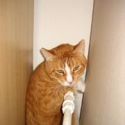 Sjerrie en Chandler (013)