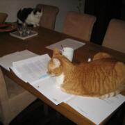 Sjerrie en Chandler (019)