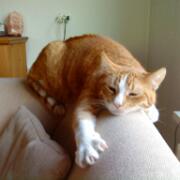 Sjerrie en Chandler (022)