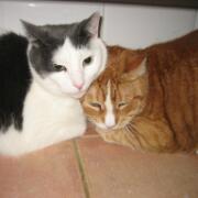 Sjerrie en Chandler (023)