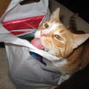 Sjerrie en Chandler (026)