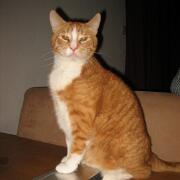 Sjerrie en Chandler (027)